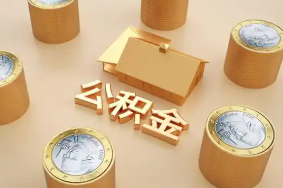 德宏退休公积金代办提取额度是多少？